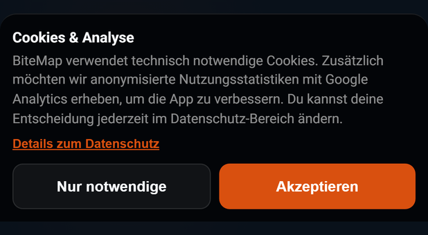 Cookie-Hinweis beim ersten Besuch im Browser: 1 Cookies & Analyse, 2 Details zum Datenschutz, 3 Nur notwendige, 4 Akzeptieren