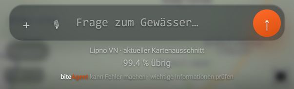 Das AI-Kontingent unter dem Eingabefeld (BiteMap Pro): 1 „… % übrig“